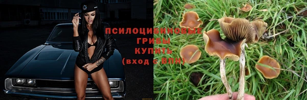 2c-b Баксан