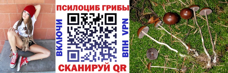 закладка  Шацк  Галлюциногенные грибы GOLDEN TEACHER 